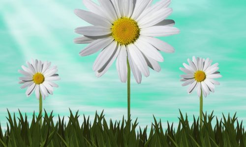 nature-3166321_1280